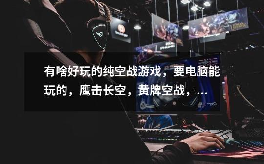 有啥好玩的纯空战游戏,要电脑能玩的,鹰击长空,黄牌空战,阿帕奇系列就免了,都玩过-第1张-游戏信息-龙启网
