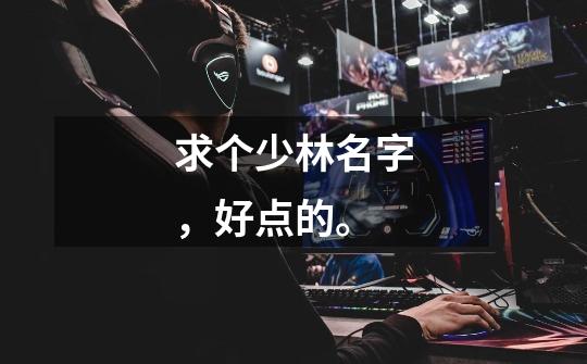 求个少林名字，好点的。-第1张-游戏信息-龙启网