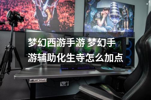 梦幻西游手游 梦幻手游辅助化生寺怎么加点-第1张-游戏信息-龙启网