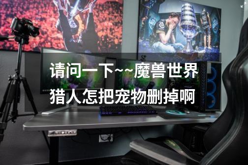 请问一下~~魔兽世界猎人怎把宠物删掉啊-第1张-游戏信息-龙启网