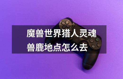 魔兽世界猎人灵魂兽鹿地点怎么去-第1张-游戏信息-龙启网