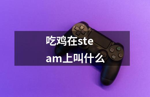 吃鸡在steam上叫什么-第1张-游戏信息-龙启网