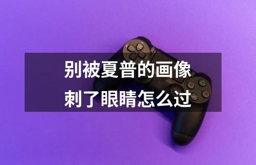 别被夏普的画像刺了眼睛怎么过-第1张-游戏信息-龙启网