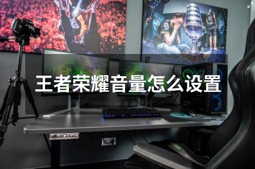 王者荣耀音量怎么设置-第1张-游戏信息-龙启网