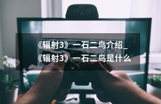 《辐射3》一石二鸟介绍_《辐射3》一石二鸟是什么-第1张-游戏信息-龙启网