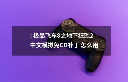 : 极品飞车8之地下狂飙2 中文模拟免CD补丁 怎么用-第1张-游戏信息-龙启网
