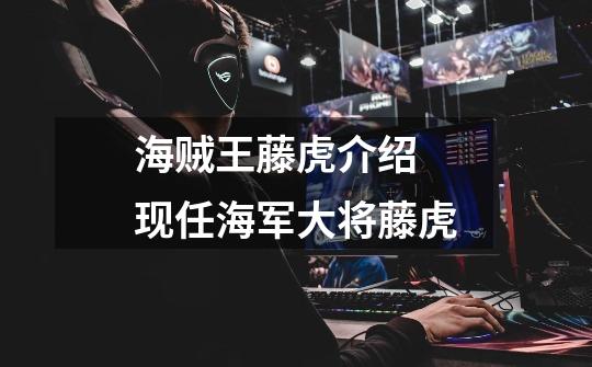 海贼王藤虎介绍 现任海军大将藤虎-第1张-游戏信息-龙启网
