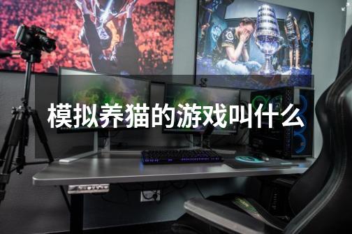 模拟养猫的游戏叫什么-第1张-游戏信息-龙启网