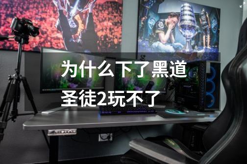 为什么下了黑道圣徒2玩不了-第1张-游戏信息-龙启网