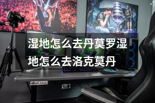 湿地怎么去丹莫罗湿地怎么去洛克莫丹-第1张-游戏信息-龙启网