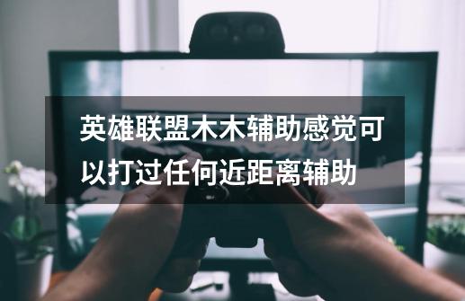 英雄联盟木木辅助感觉可以打过任何近距离辅助-第1张-游戏信息-龙启网