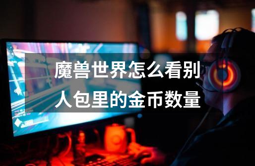 魔兽世界怎么看别人包里的金币数量-第1张-游戏信息-龙启网