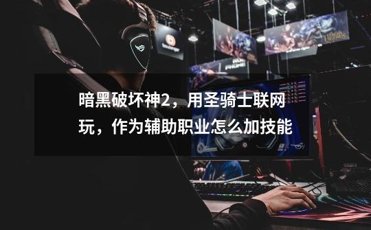 暗黑破坏神2,用圣骑士联网玩,作为辅助职业怎么加技能-第1张-游戏信息-龙启网