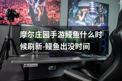 摩尔庄园手游鳗鱼什么时候刷新-鳗鱼出没时间-第1张-游戏信息-龙启网