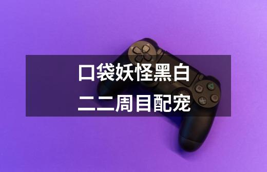 口袋妖怪黑白二二周目配宠-第1张-游戏信息-龙启网