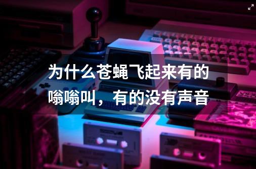 为什么苍蝇飞起来有的嗡嗡叫,有的没有声音-第1张-游戏信息-龙启网