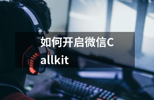 如何开启微信Callkit-第1张-游戏信息-龙启网