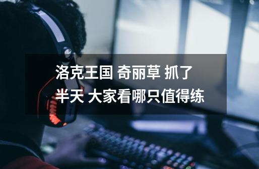 洛克王国 奇丽草 抓了半天 大家看哪只值得练-第1张-游戏信息-龙启网