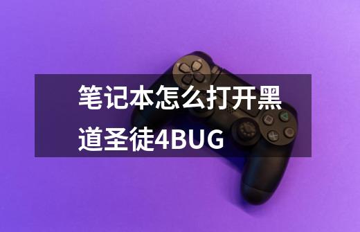 笔记本怎么打开黑道圣徒4BUG-第1张-游戏信息-龙启网