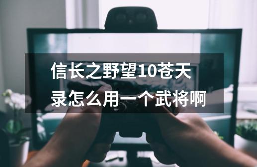 信长之野望10苍天录怎么用一个武将啊-第1张-游戏信息-龙启网