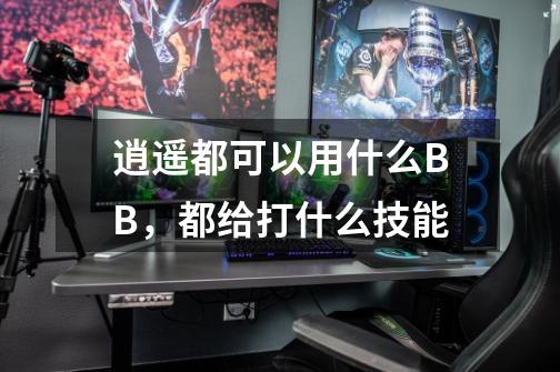 逍遥都可以用什么BB,都给打什么技能-第1张-游戏信息-龙启网