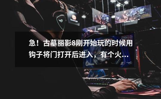 急！古墓丽影8刚开始玩的时候用钩子将门打开后进入，有个火坑，怎么过啊-第1张-游戏信息-龙启网