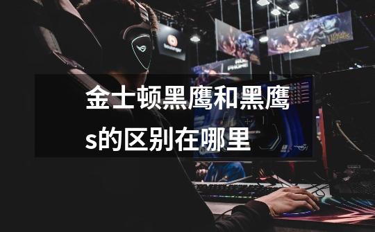 金士顿黑鹰和黑鹰s的区别在哪里-第1张-游戏信息-龙启网