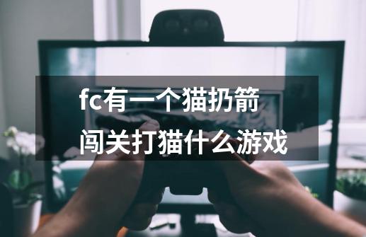 fc有一个猫扔箭闯关打猫什么游戏-第1张-游戏信息-龙启网