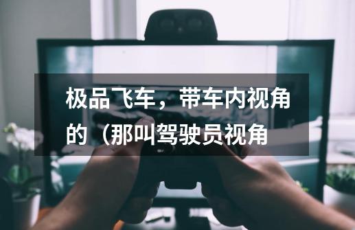 极品飞车，带车内视角的（那叫驾驶员视角-第1张-游戏信息-龙启网