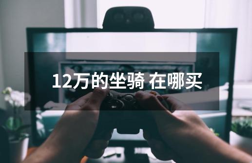 12万的坐骑 在哪买-第1张-游戏信息-龙启网