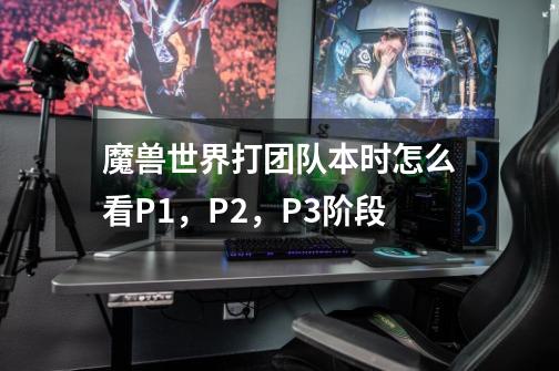 魔兽世界打团队本时怎么看P1，P2，P3阶段-第1张-游戏信息-龙启网