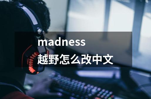 madness越野怎么改中文-第1张-游戏信息-龙启网