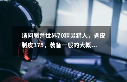 请问魔兽世界70精灵猎人，剥皮制皮375，装备一般的大概能卖多少钱-第1张-游戏信息-龙启网