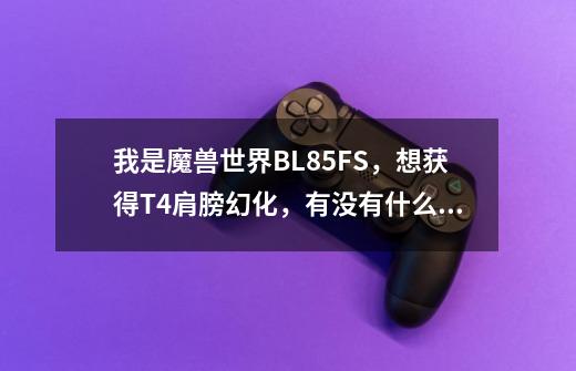 我是魔兽世界BL85FS，想获得T4肩膀幻化，有没有什么得到的好方法-第1张-游戏信息-龙启网