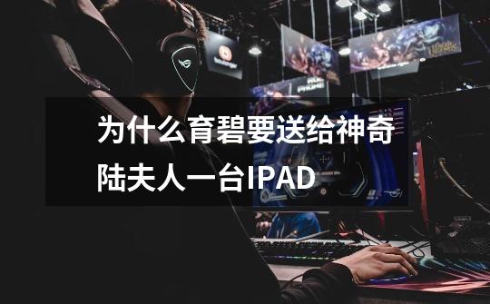 为什么育碧要送给神奇陆夫人一台IPAD-第1张-游戏信息-龙启网