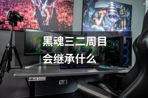 黑魂三二周目会继承什么-第1张-游戏信息-龙启网