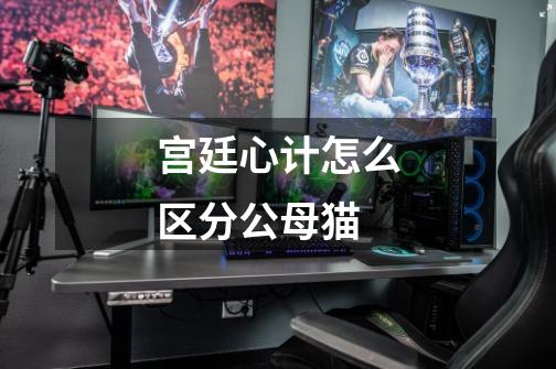 宫廷心计怎么区分公母猫-第1张-游戏信息-龙启网