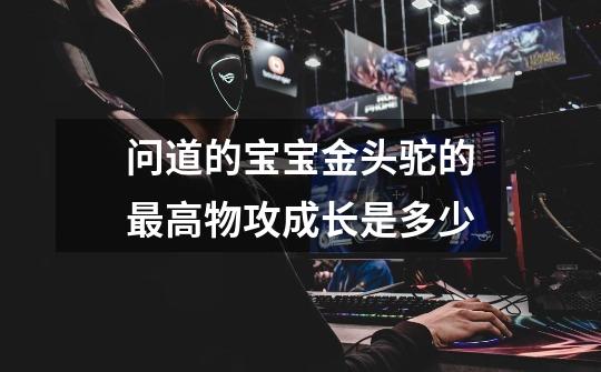 问道的宝宝金头驼的最高物攻成长是多少-第1张-游戏信息-龙启网