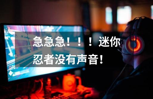 急急急!!!迷你忍者没有声音!-第1张-游戏信息-龙启网