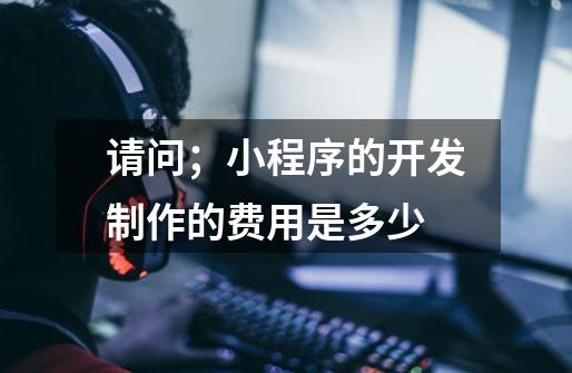 请问;小程序的开发制作的费用是多少-第1张-游戏信息-龙启网