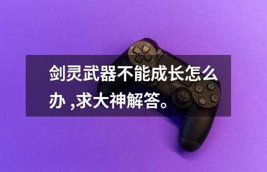 剑灵武器不能成长怎么办 ,求大神解答。-第1张-游戏信息-龙启网