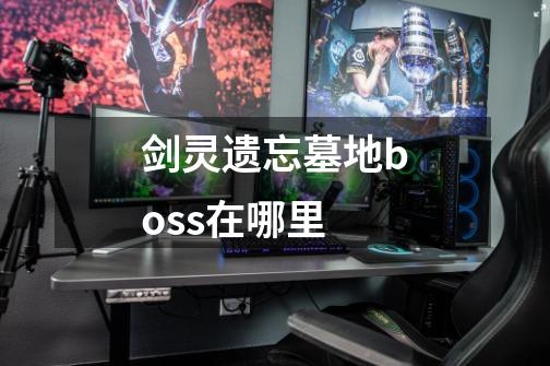 剑灵遗忘墓地boss在哪里-第1张-游戏信息-龙启网
