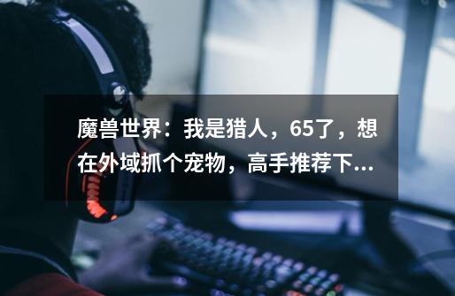 魔兽世界:我是猎人,65了,想在外域抓个宠物,高手推荐下。-第1张-游戏信息-龙启网