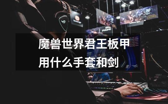 魔兽世界君王板甲用什么手套和剑-第1张-游戏信息-龙启网