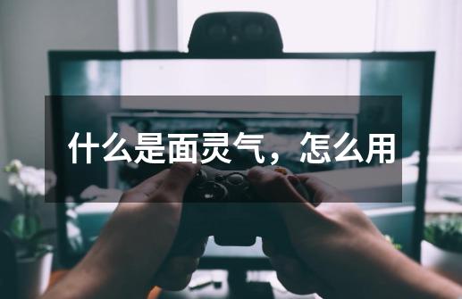 什么是面灵气,怎么用-第1张-游戏信息-龙启网