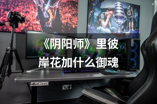 《阴阳师》里彼岸花加什么御魂-第1张-游戏信息-龙启网