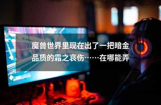 魔兽世界里现在出了一把暗金品质的霜之哀伤……在哪能弄-第1张-游戏信息-龙启网
