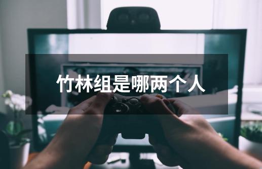 竹林组是哪两个人-第1张-游戏信息-龙启网
