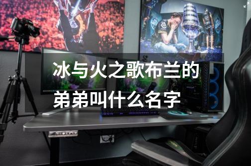 冰与火之歌布兰的弟弟叫什么名字-第1张-游戏信息-龙启网