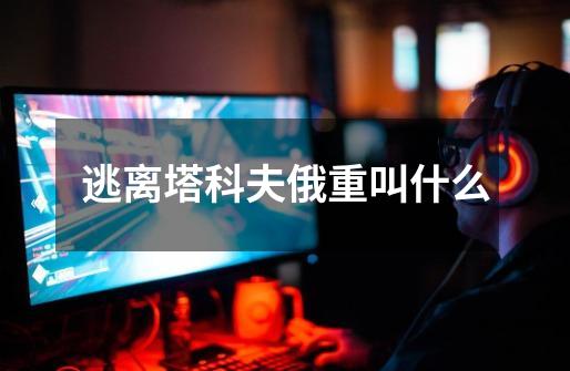 逃离塔科夫俄重叫什么-第1张-游戏信息-龙启网